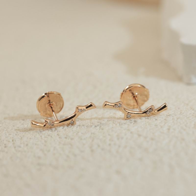 Dior Gold Earrings 824
